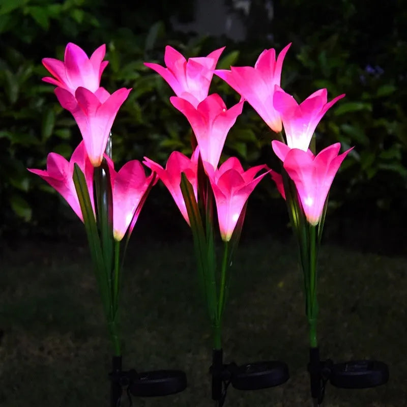 Solar powered colour LED flower lawn lamp for garden ground lighting
