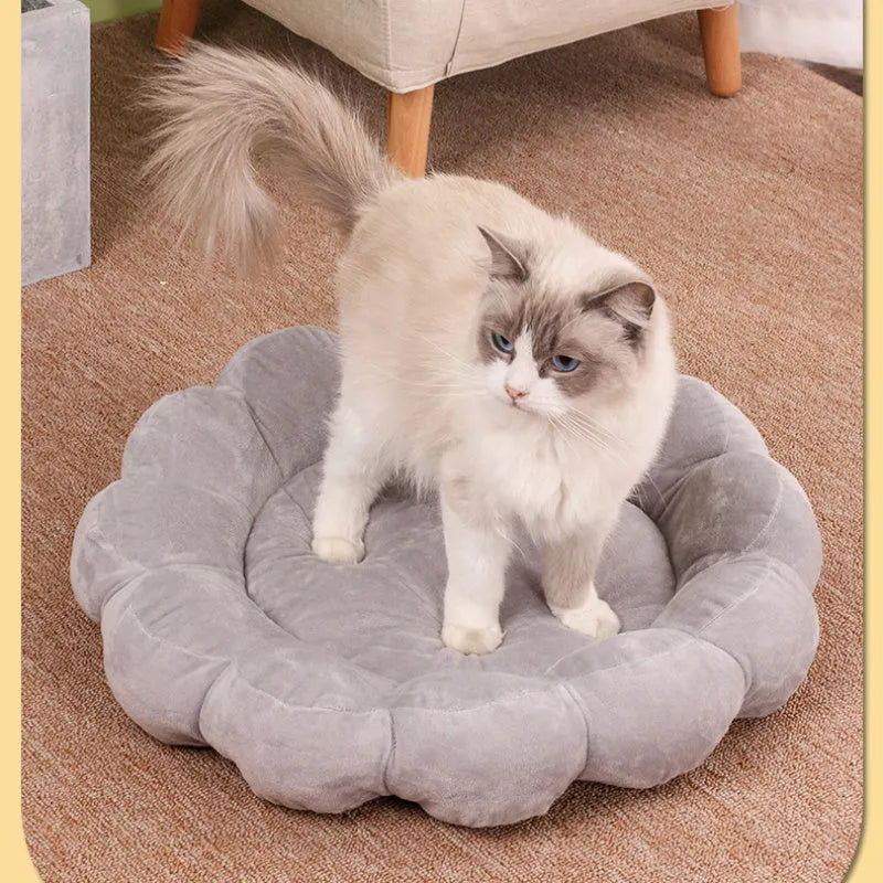 Blue half-surrounded pet nest bed with plush fabric measuring 50x50cm