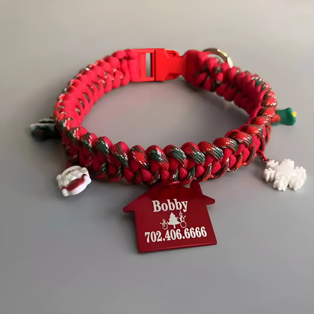 Green rope P chain dog leash with a metal release buckle fastened to a dog collar.