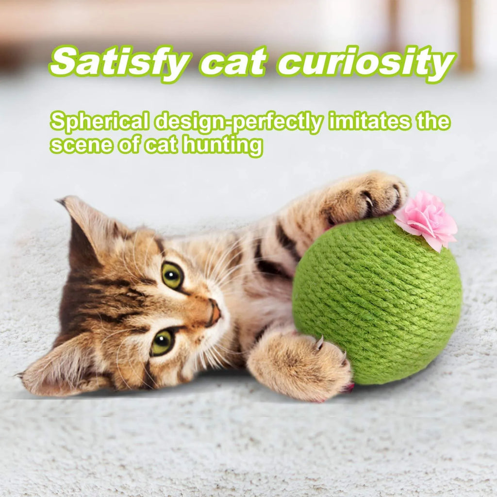 Green cactus-shaped cat scratcher ball with natural sisal scratching surfaces and integrated catnip toys