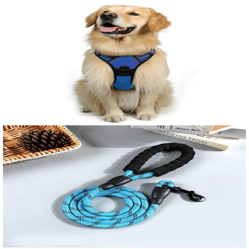 Adjustable nylon dog harness vest in blue, side view showing chest strap and buckle