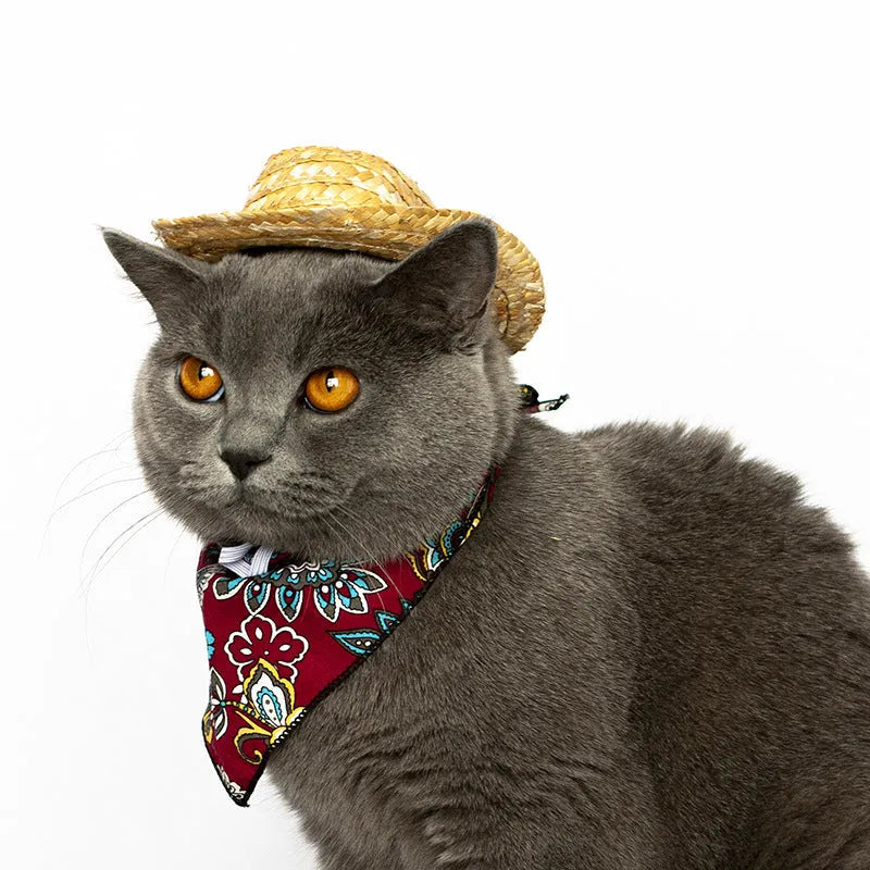 Pet cat western straw cowboy hat in brown, non-woven fabric, three sizes available