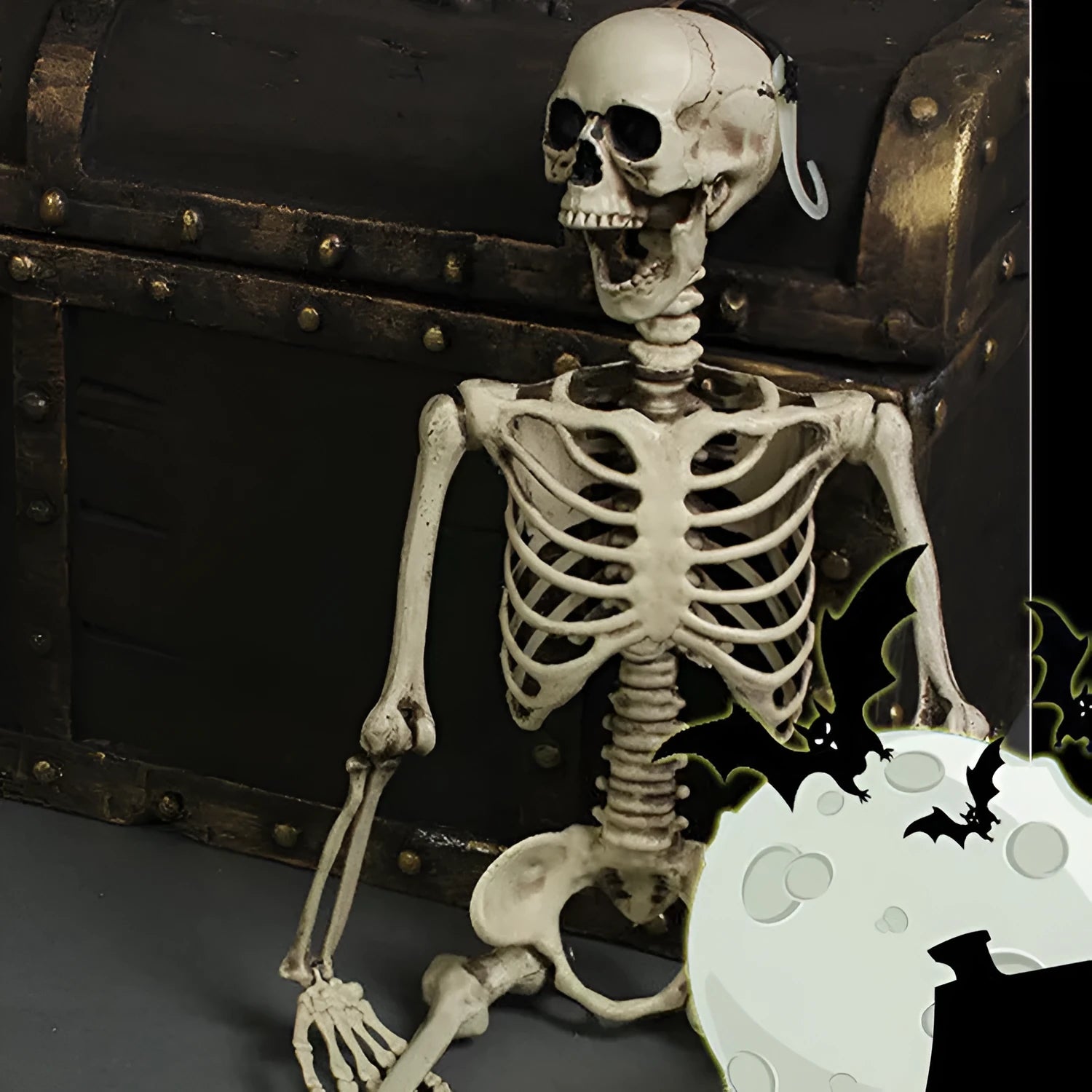 Full-size 170 cm tall plastic skeleton prop with detailed simulation skull on a white background.