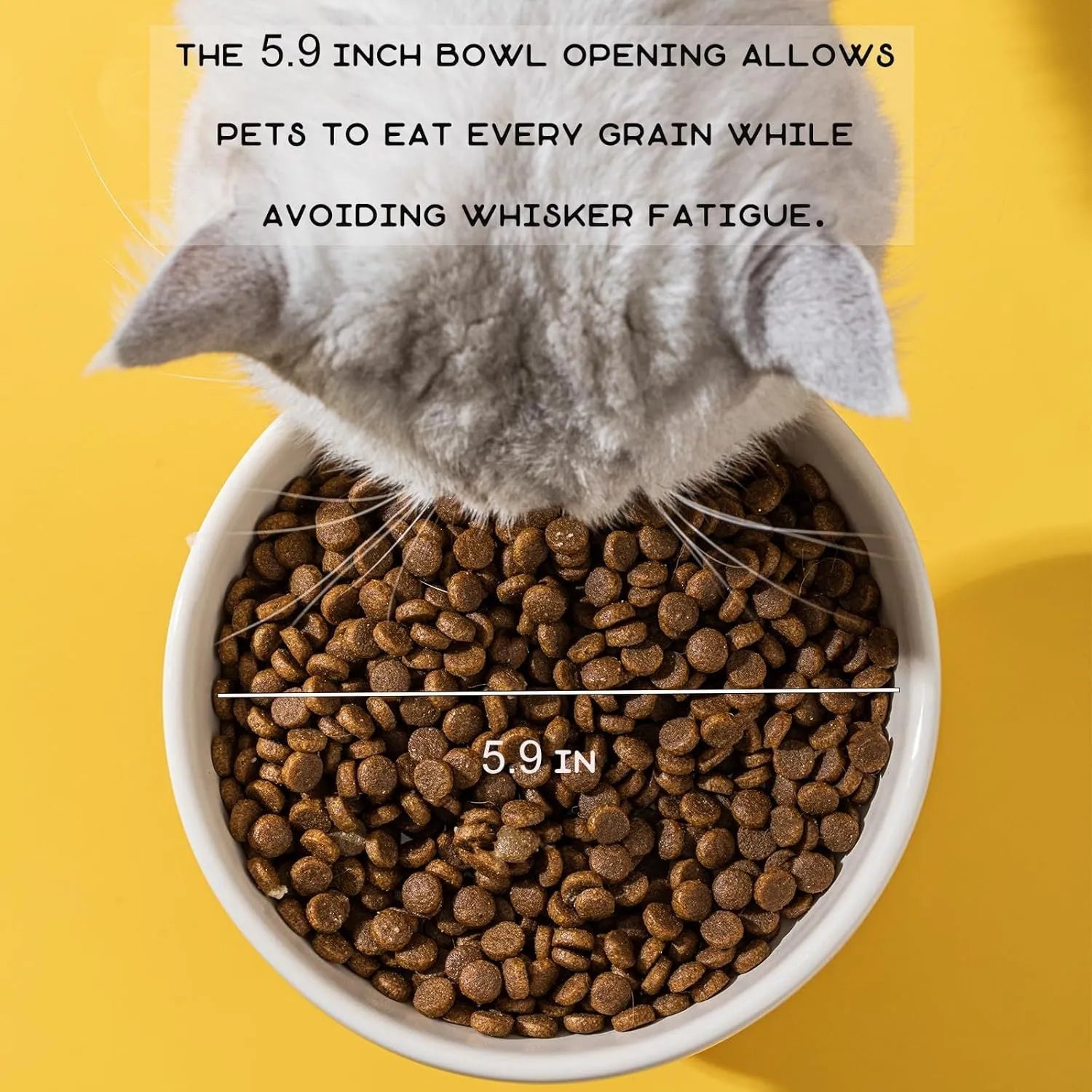 Raised ceramic cat bowl in animal design, showing 4.92-inch height and wide 15cm bowl.