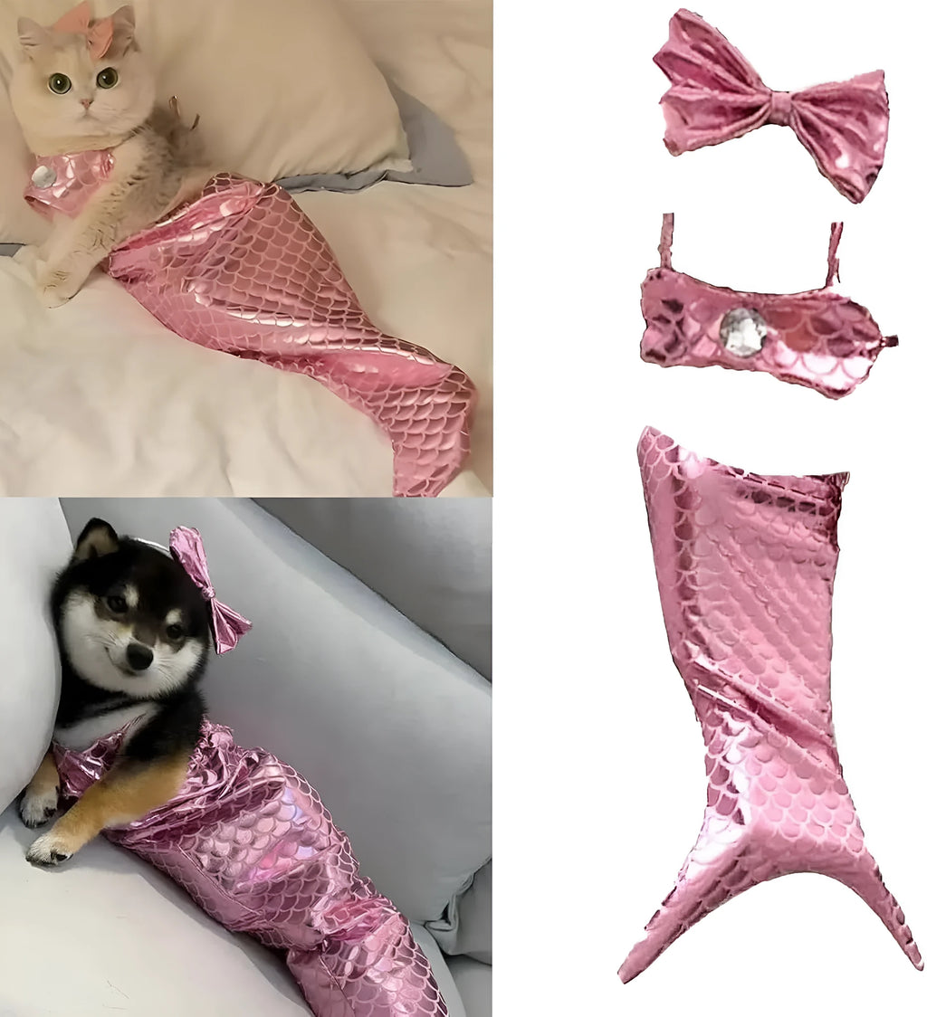 Blue mermaid tail costume with elastic chest strap on a cat, showing colourful scales and fish tail design.