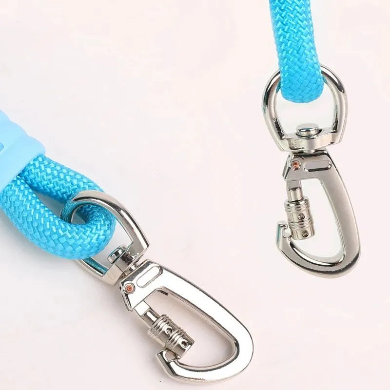 Nylon dog lead with foam handle showing black, light purple, sky blue and yellow colour options