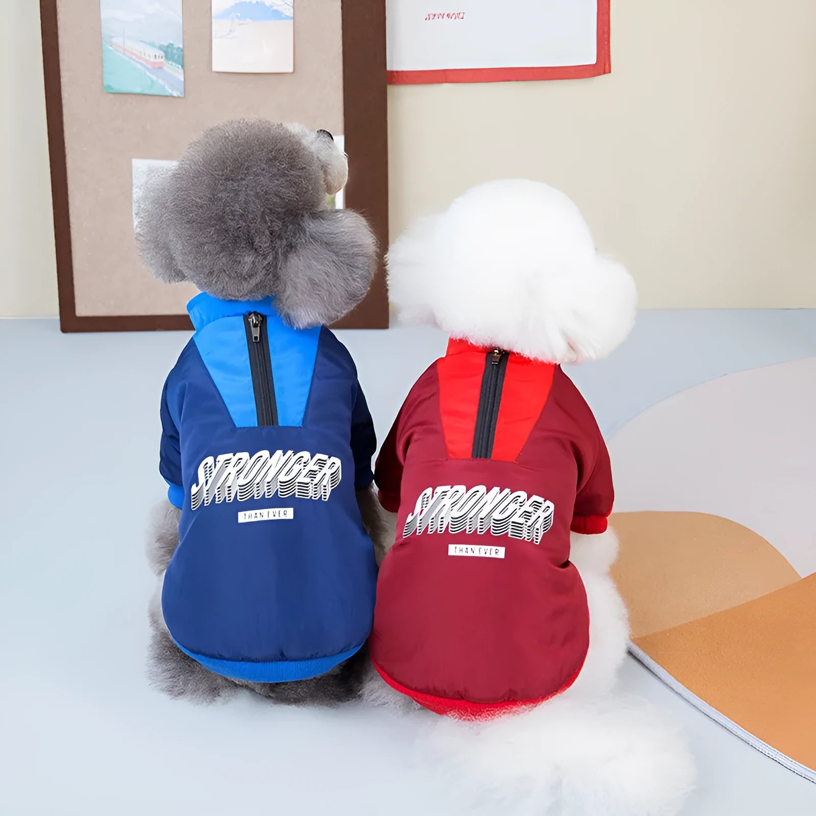 Red and blue V-neck thick cotton dog coat for pets on a size chart background