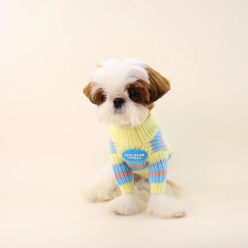 Blue and yellow stripe wool-blend dog sweater for small breeds like Bichon or Maltese.