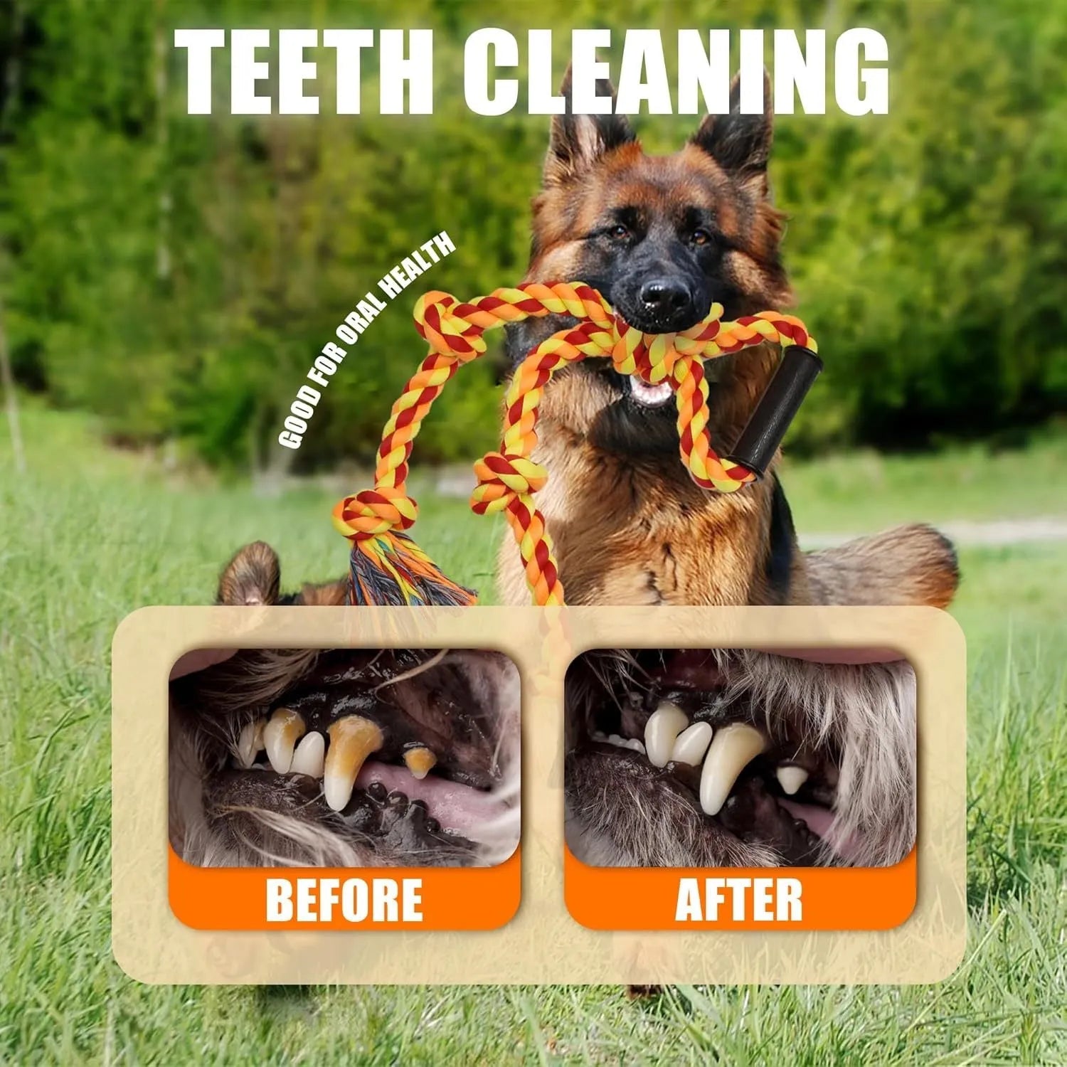 Blue and yellow cotton rope dog tug toy with a handle, shown next to a large breed dog.
