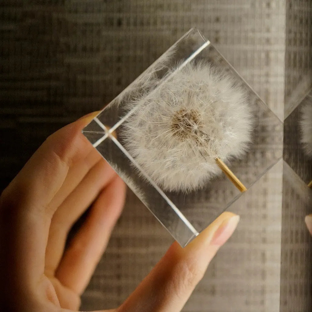 5cm clear resin cube with a real dandelion inside, next to a wooden box and USB charging base.