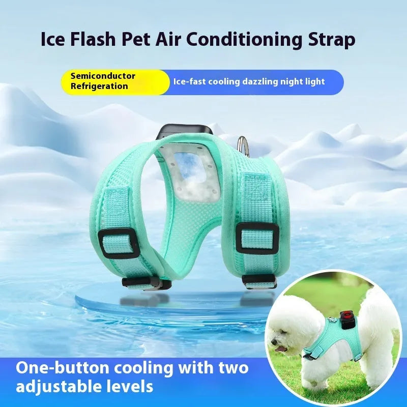 Mint green small dog cooling harness with LED light and leash on a white background