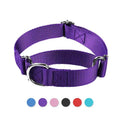 Adjustable nylon cat and dog collar with explosion-proof buckle and hand holding rope, shown in seven colours