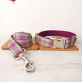 Mint green integrated dog collar and leash set with adjustable sizing