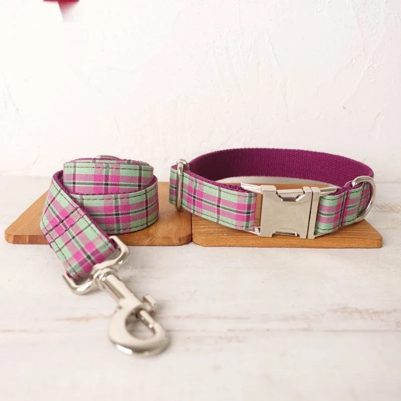 Mint green integrated dog collar and leash set with adjustable sizing