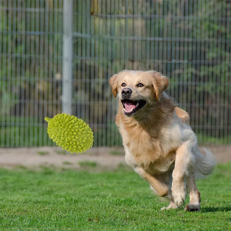 Beige, green and yellow durian-shaped dog chew toy with raised texture for dental cleaning