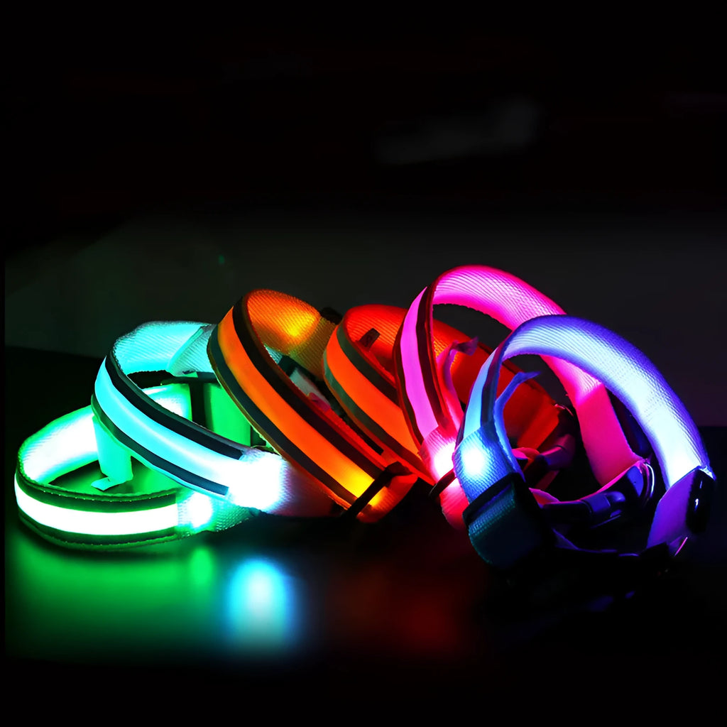 Anti-lost LED luminous dog collar in nylon webbing, XS to XL, battery or rechargeable, multiple colours