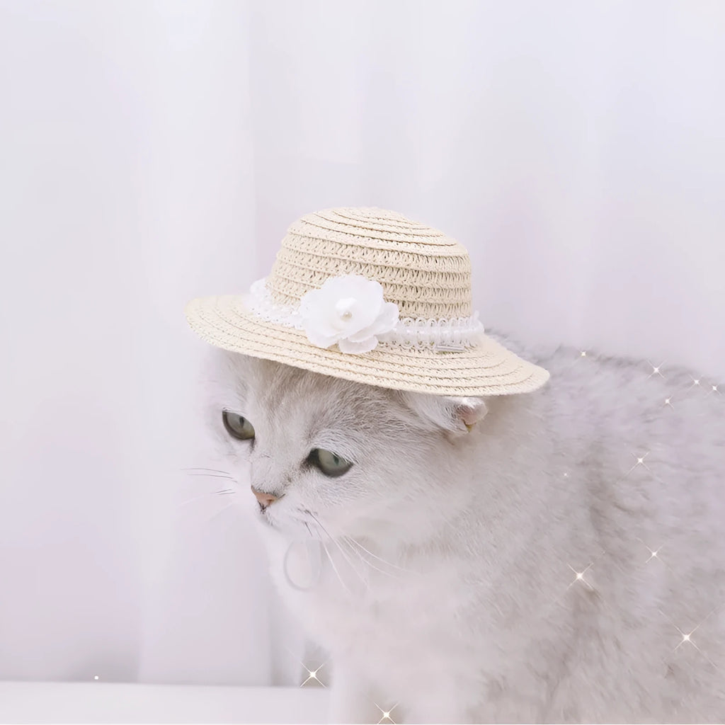 Handmade adjustable bowknot paper pet hat for dog or cat in cartoon style.