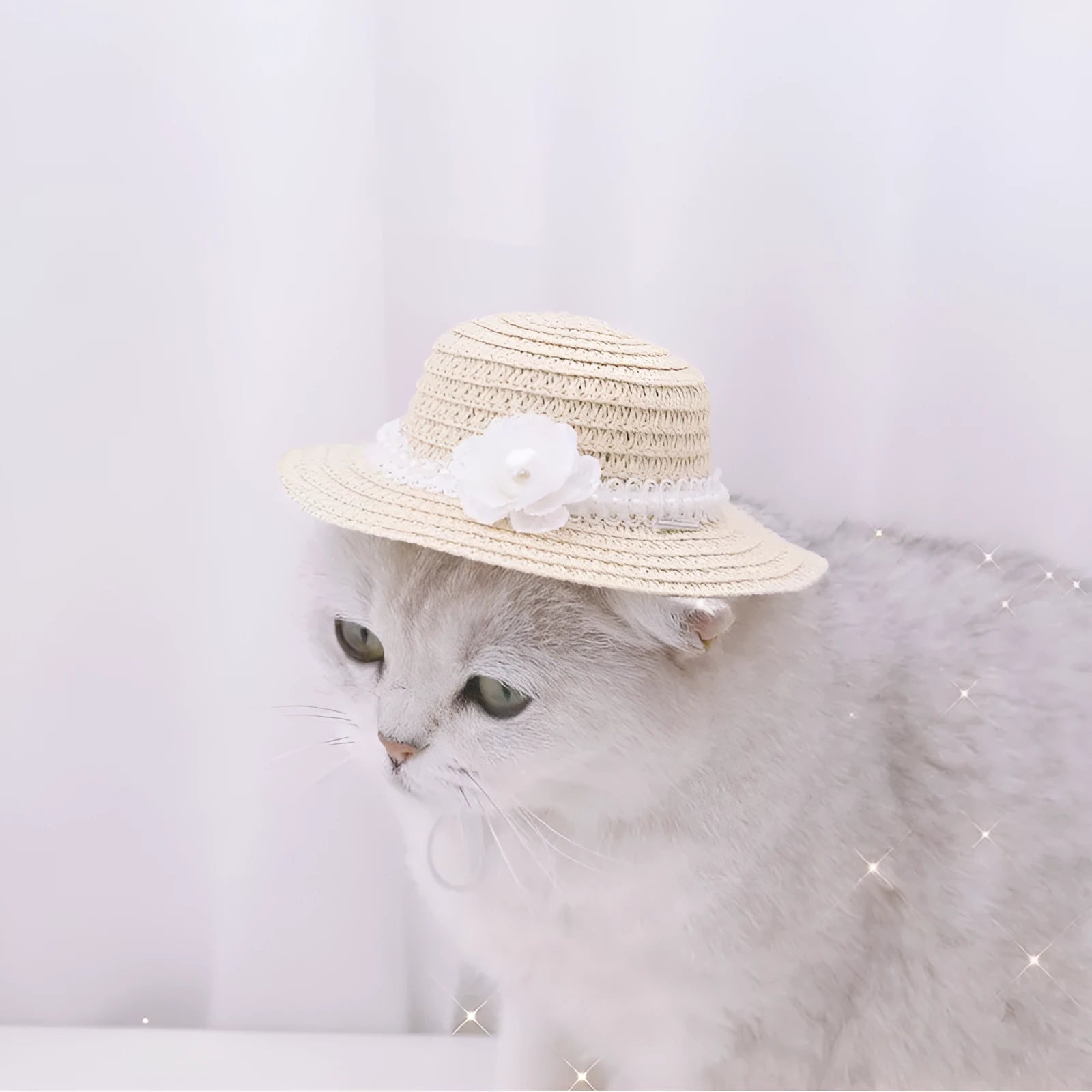 Handmade adjustable bowknot paper pet hat for dog or cat in cartoon style.