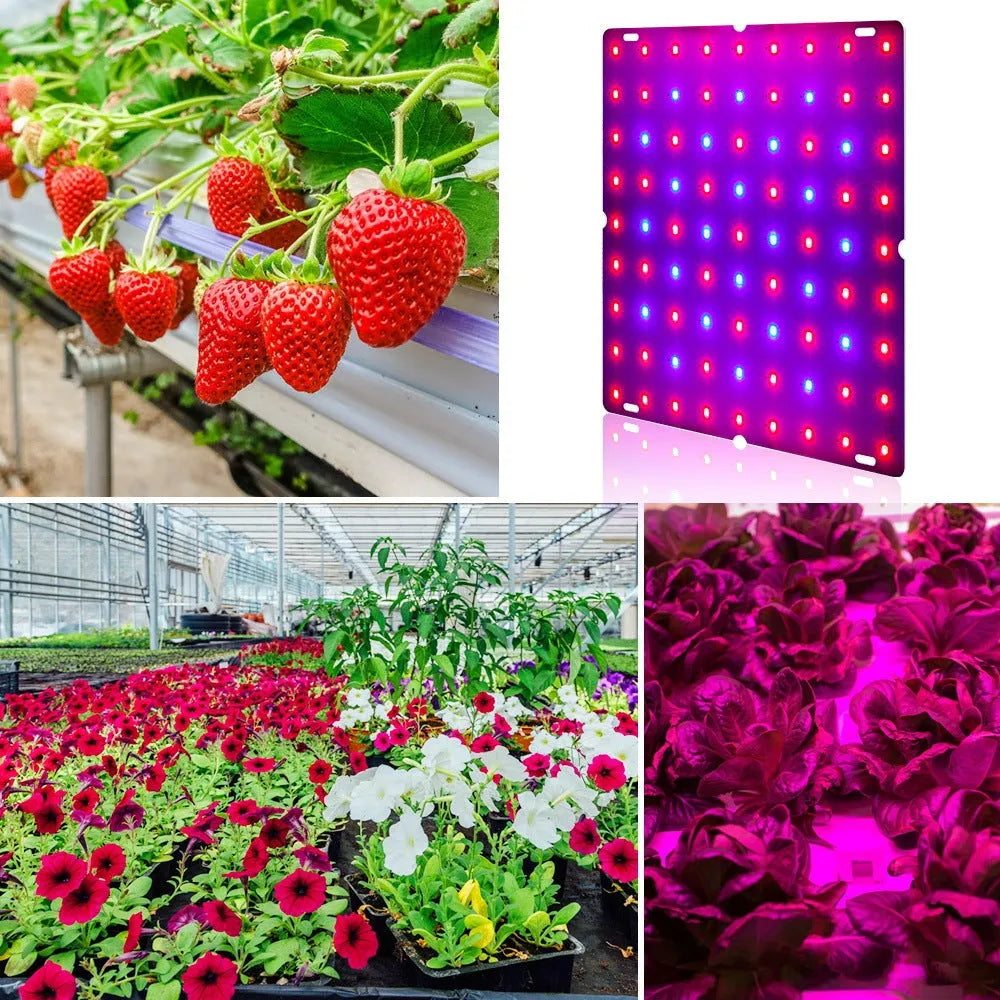 D-section aluminium LED plant growing light with hanging hook for indoor fruit and vegetable cultivation.