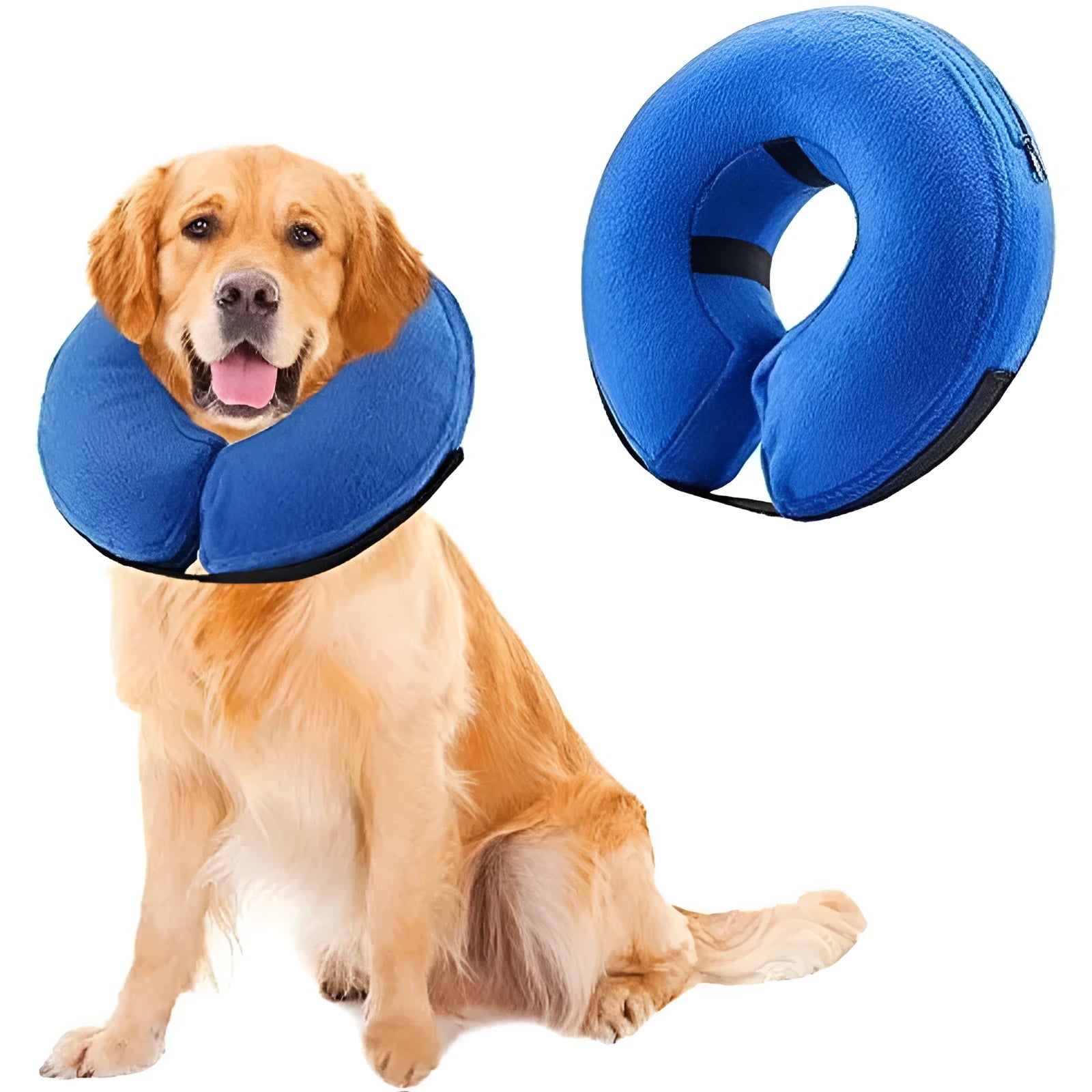 Blue inflatable soft recovery collar for a dog, showing adjustable air valve.