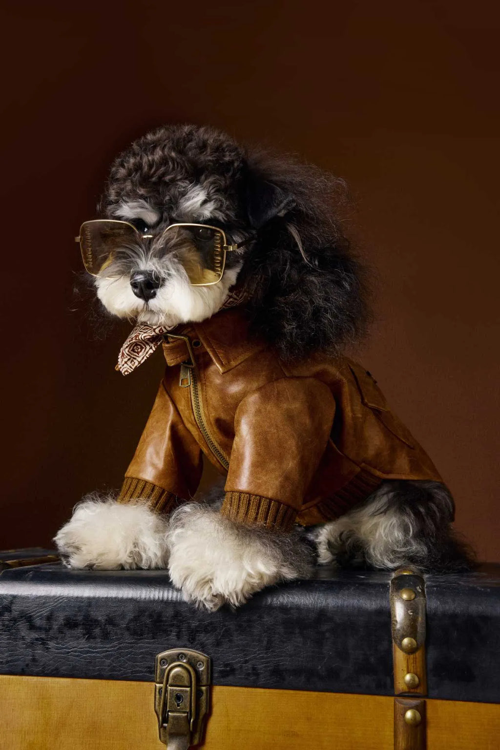 Brown PU pet leather coat with long sleeves and two-feet design for Schnauzers and Bichons, sizes XS to XXL