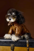Brown PU pet leather coat with long sleeves and two-feet design for Schnauzers and Bichons, sizes XS to XXL
