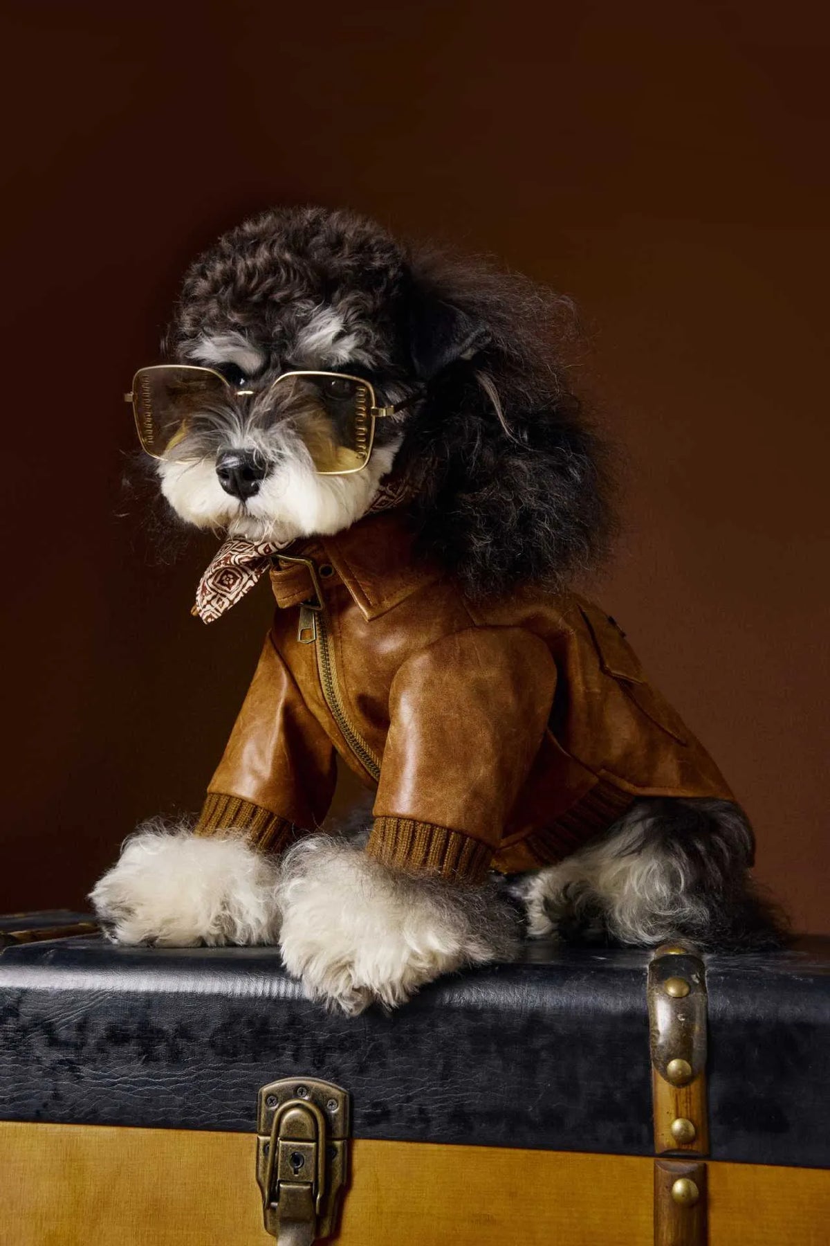 Brown PU pet leather coat with long sleeves and two-feet design for Schnauzers and Bichons, sizes XS to XXL