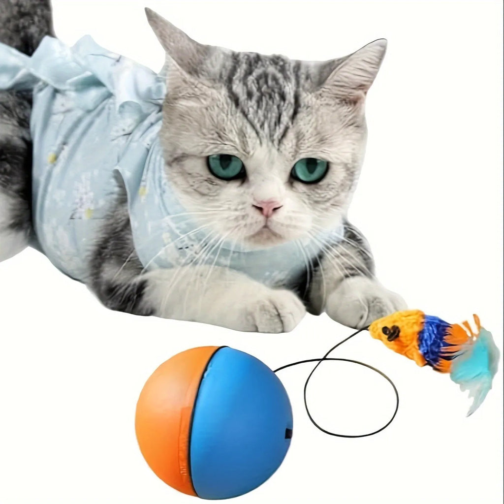 Interactive cat toy ball with plush mouse attachment showing blue and orange colours