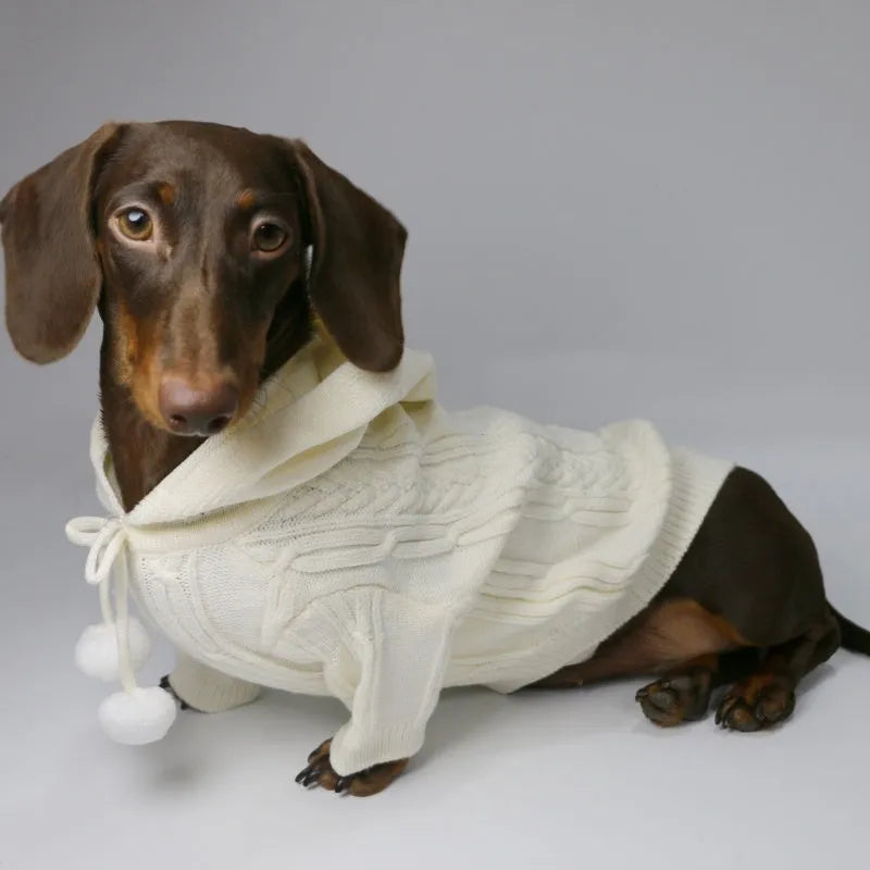 Two-leg hooded pet sweater in sky blue or beige, blended fabric, sizes XS to XL for autumn and winter warmth