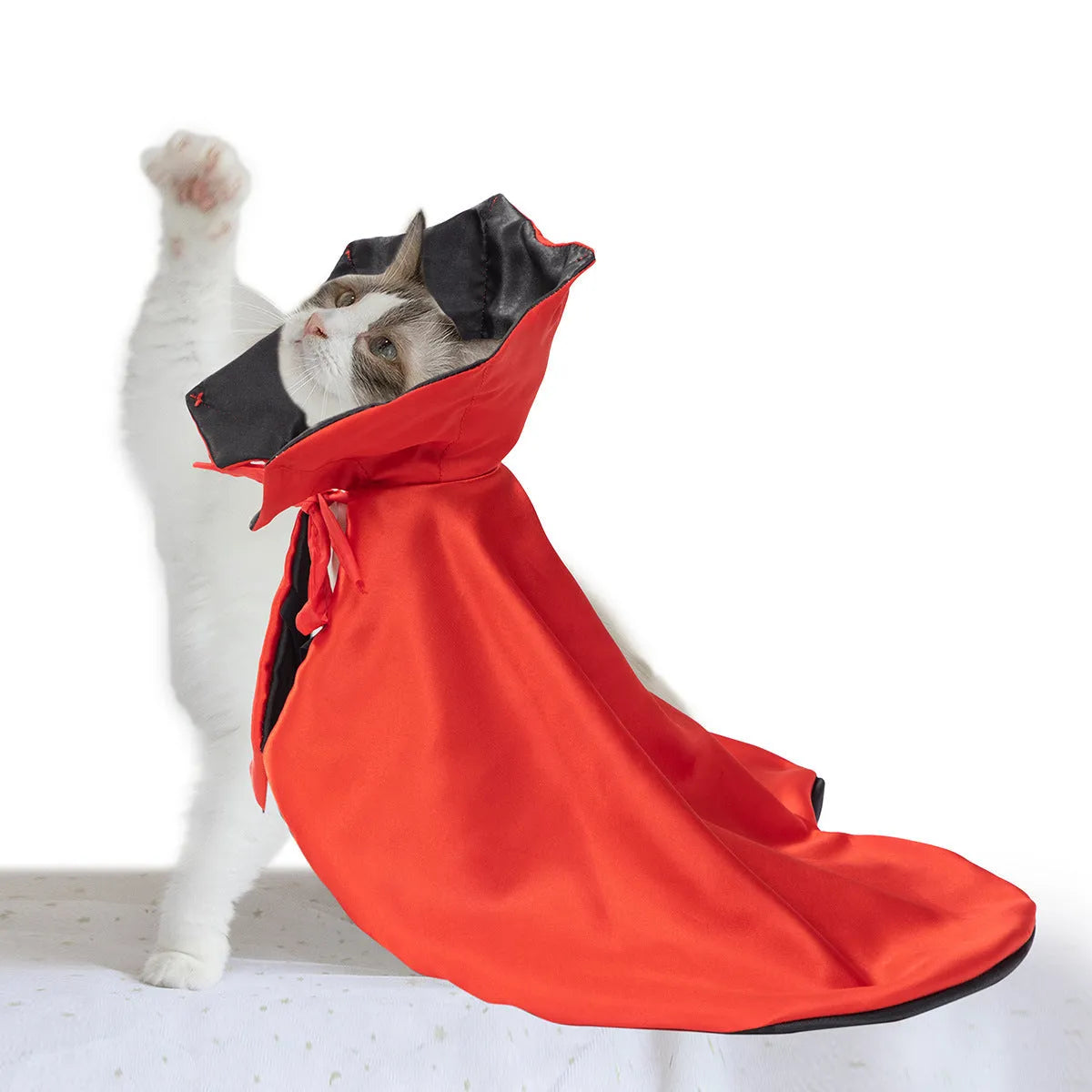 Red polyester Halloween cloak for medium large dogs with adjustable neck fastening
