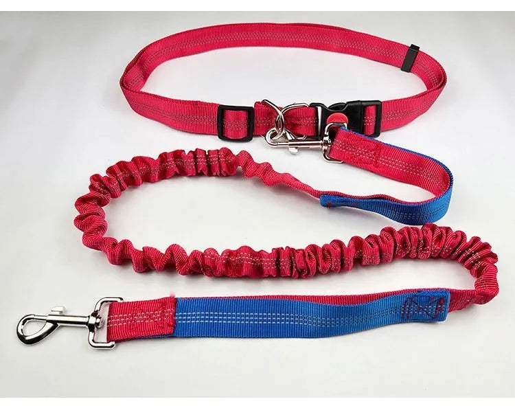 Reflective elastic dog leash with 2.5cm nylon sling in blue and red two-tone colour combination