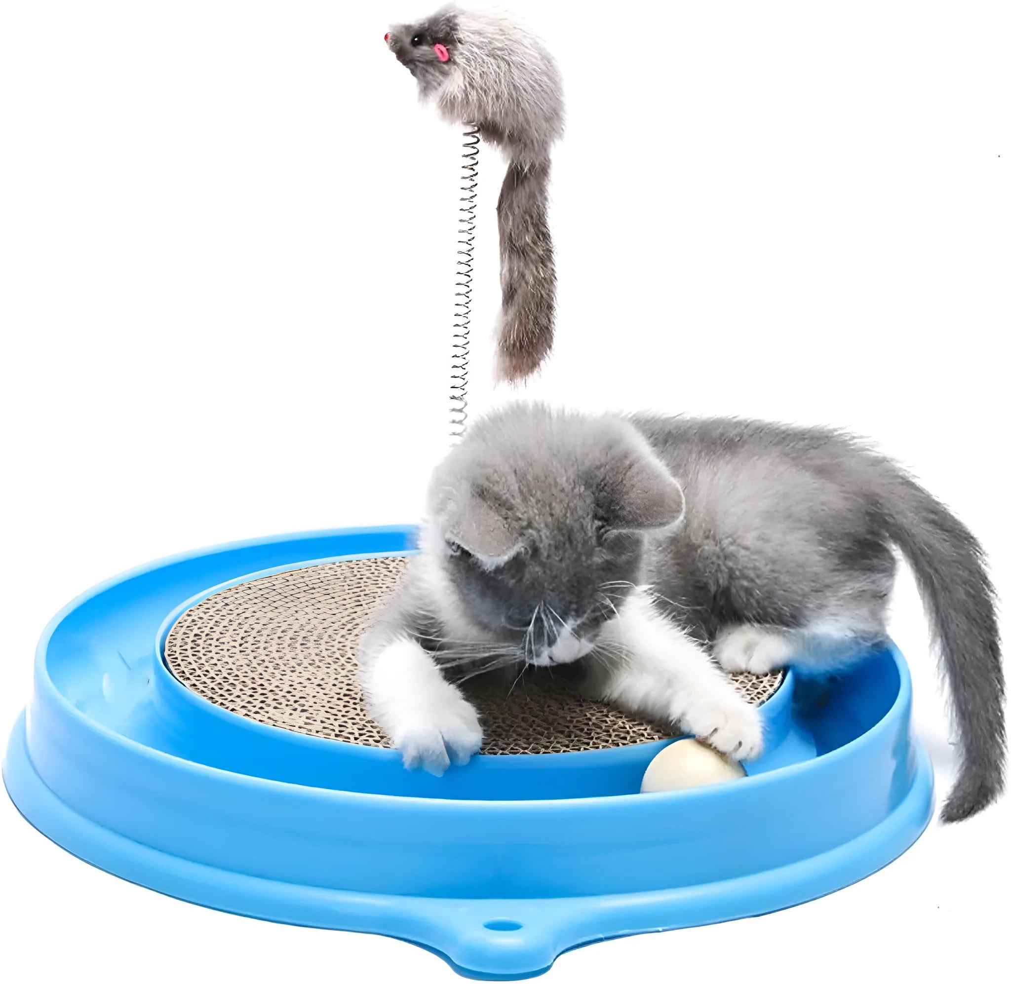 Round blue cat scratcher with track ball and mouse swatter attachment