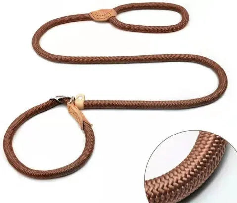 Brown nylon dog leash with P-chain clip measuring 2.1 metres long