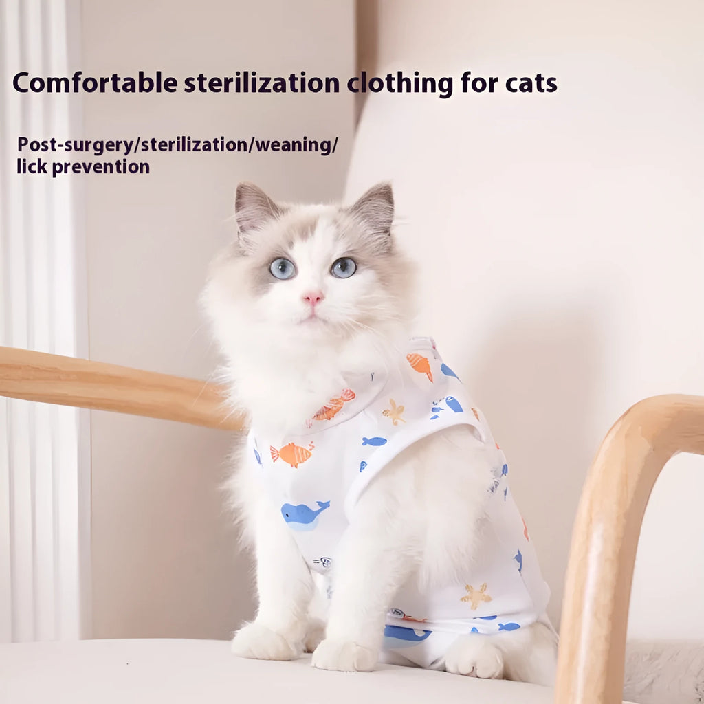 Cat wearing a blue post-operative recovery suit with Velcro fastenings on its side and back.