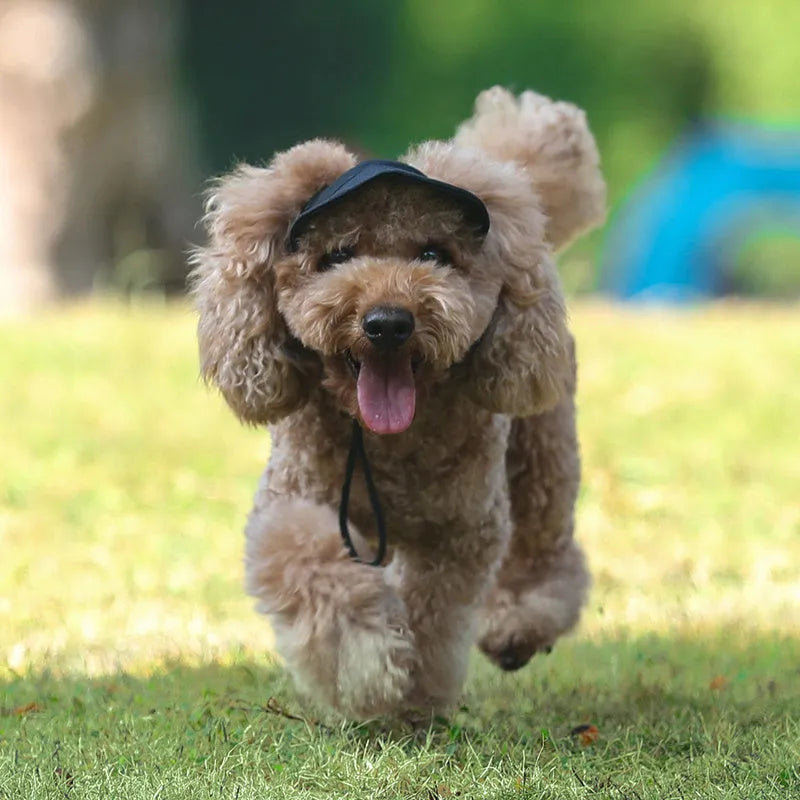 Canvas pet baseball cap for dogs and cats with adjustable buckle and Velcro, available in black, blue, pink and red, sizes S to XL.