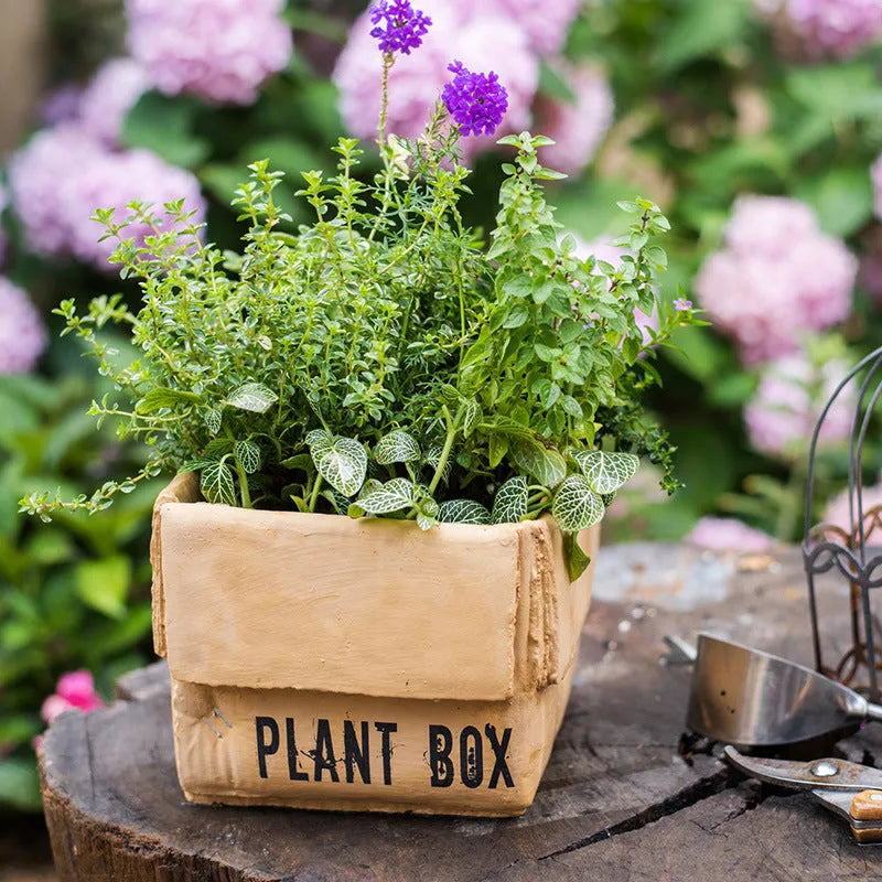 Cement brown paper box style flowerpot with drainage holes for indoor plants