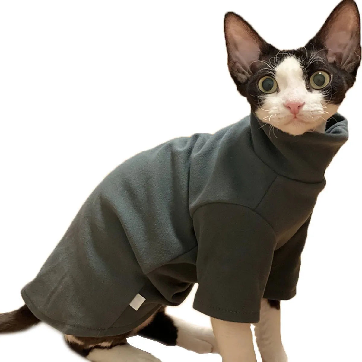 Dralon self-heating hairless cat hoodie in polyester, black or green, sizes XS to 3XL
