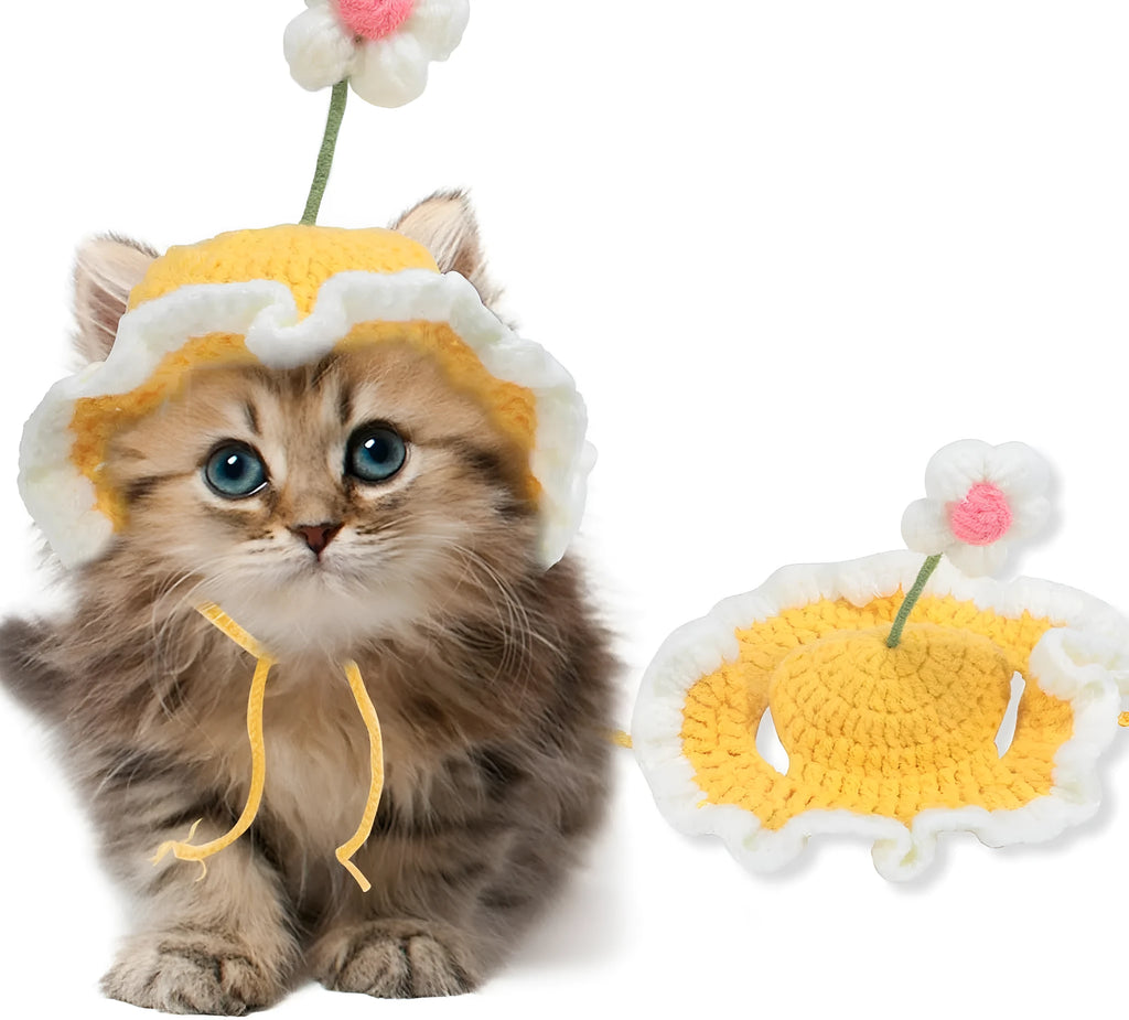 Green pink yellow knitted cat dog hat with cartoon design for parties