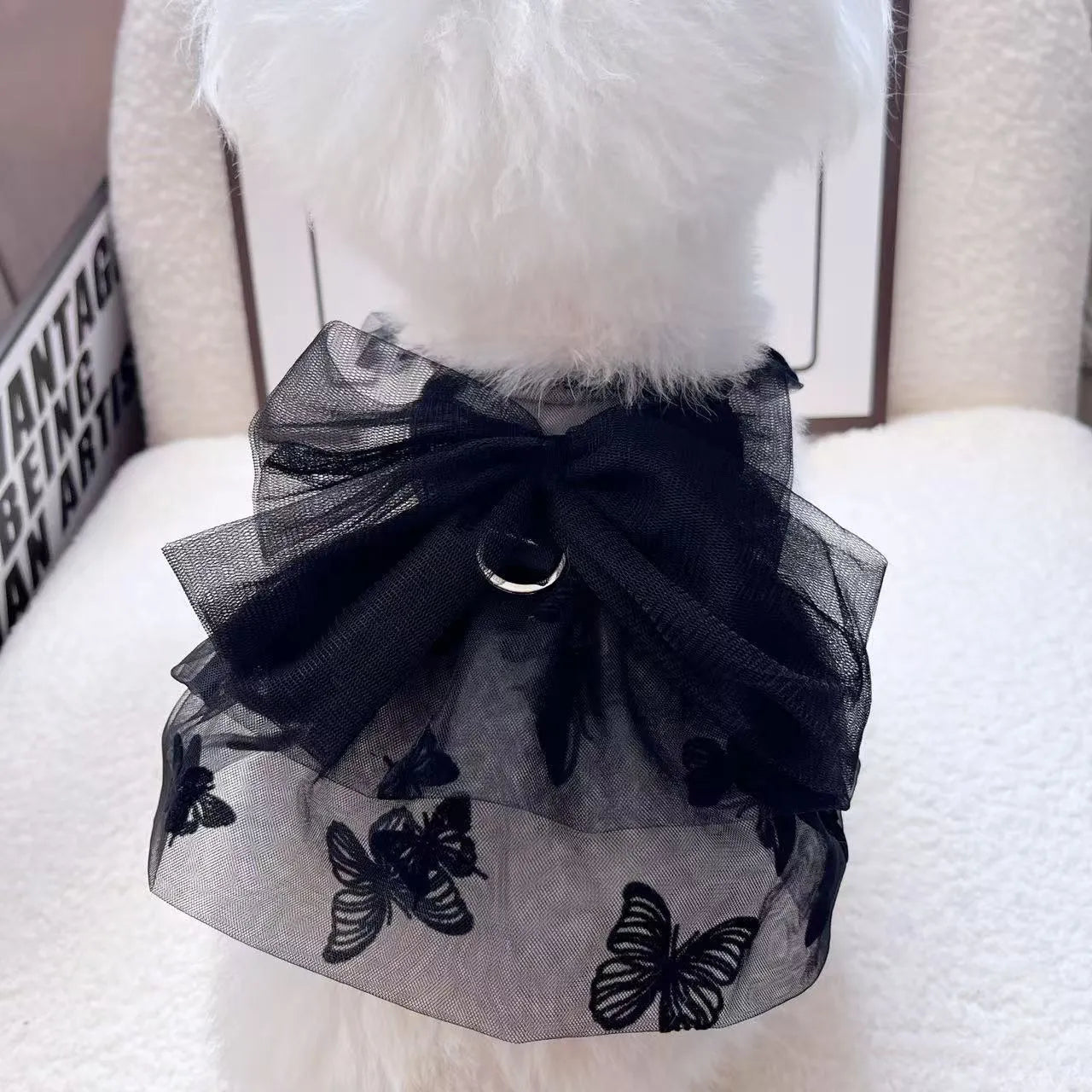 Black layered tulle princess skirt on a small dog, showing chest fit and full skirt silhouette.