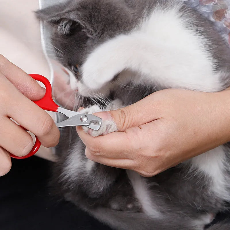 Pet nail clippers with stainless steel blades and coloured non-slip handles