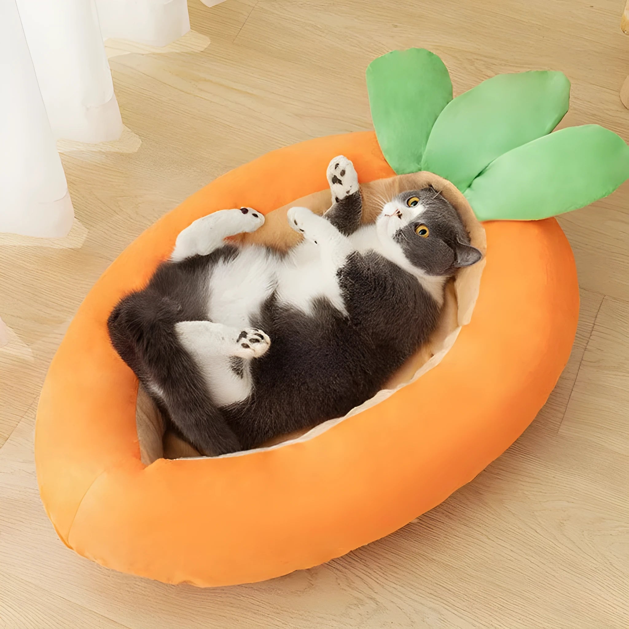 Carrot-themed pet bed with removable washable cover in medium and large size options