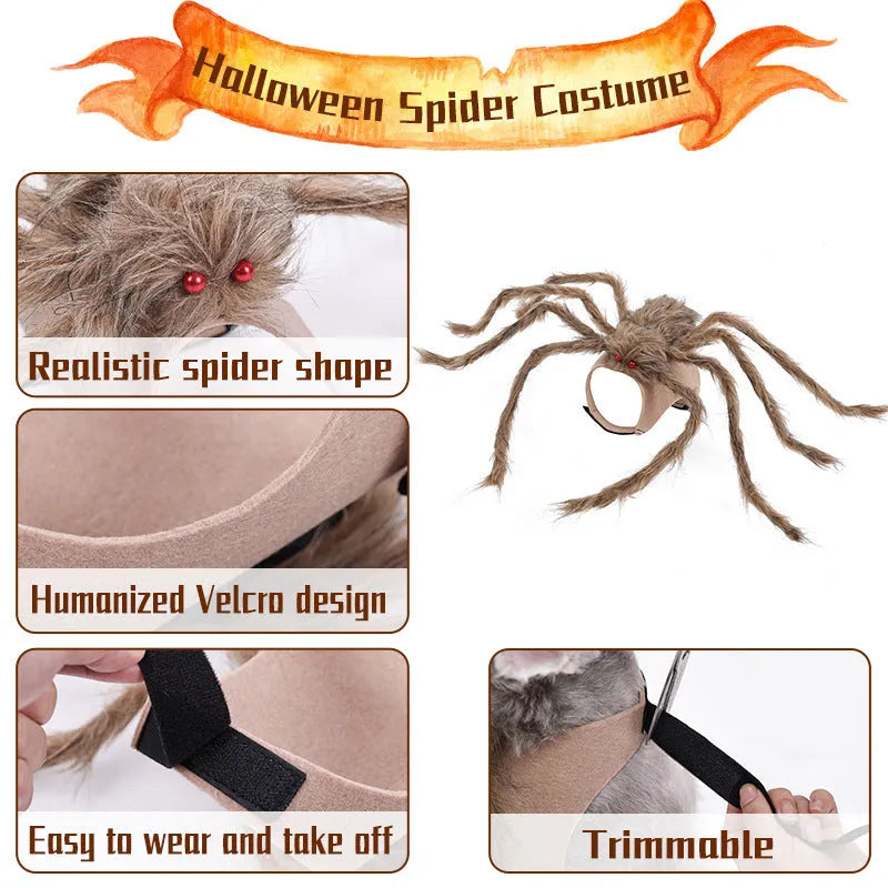 Grey big spider Halloween costume on a dog, showing the four-legged design.