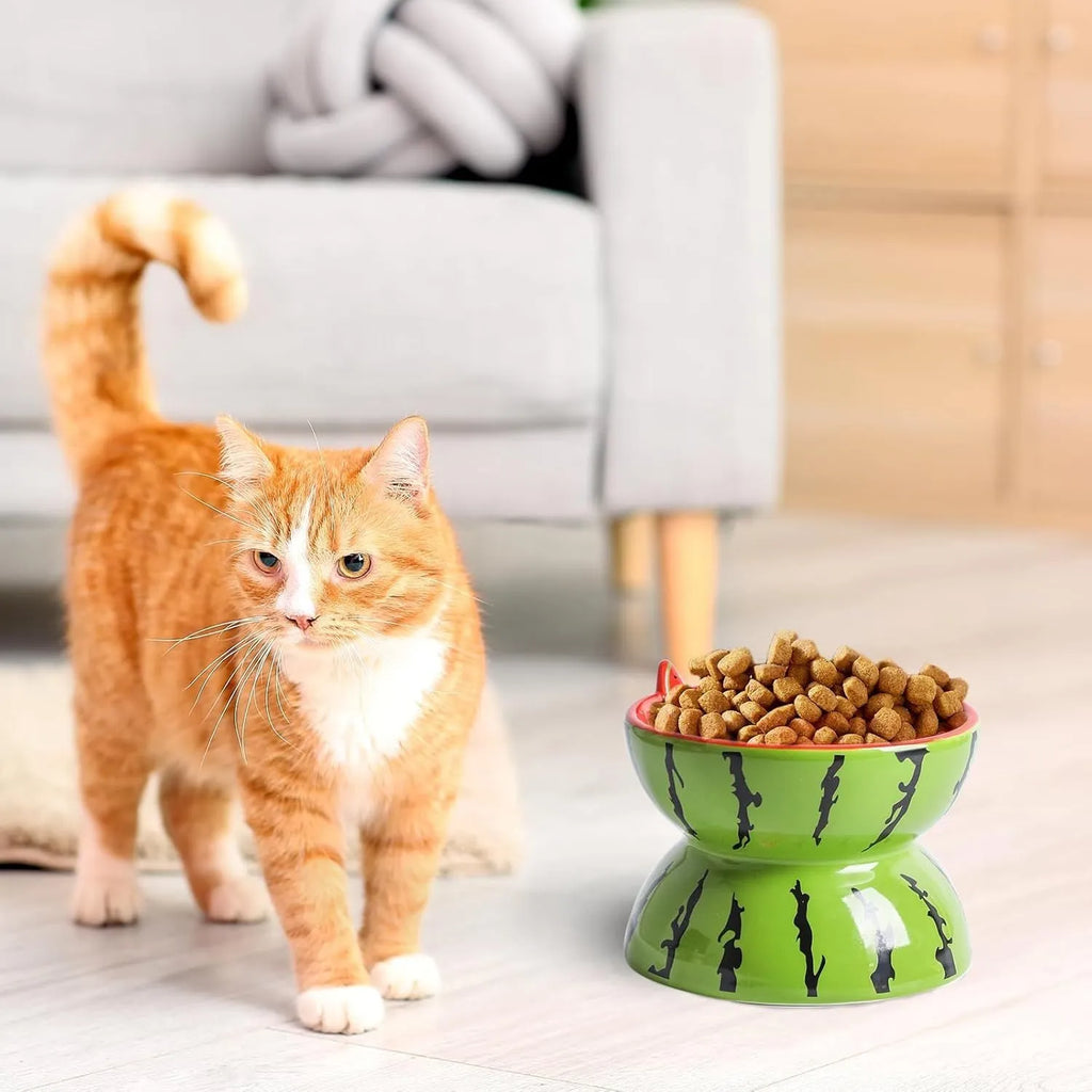 Ceramic raised cat bowl with tilted design in orange colour
