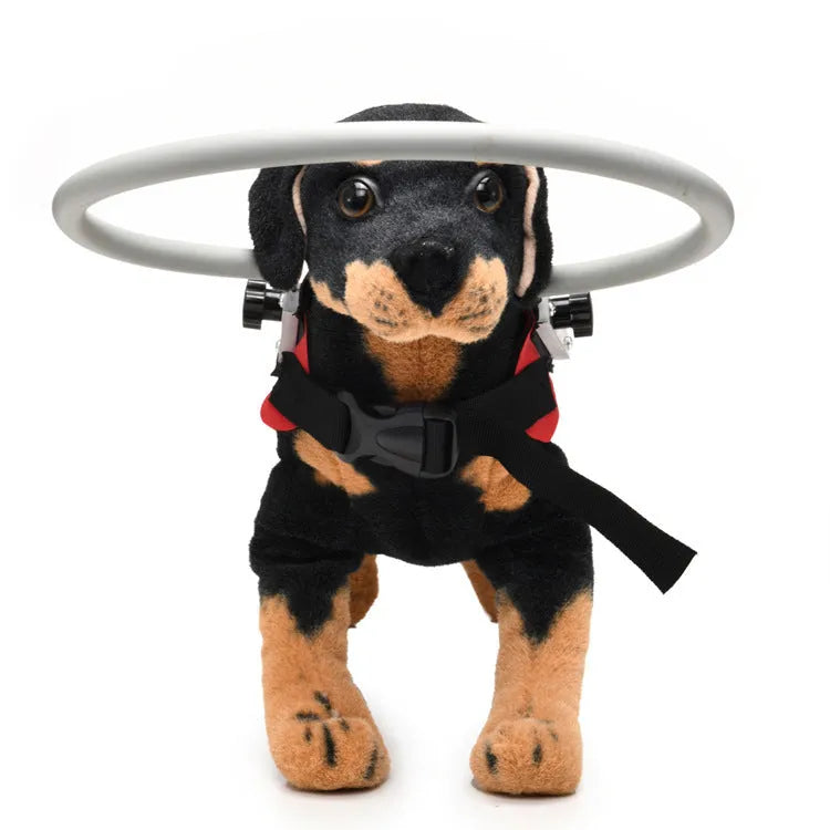 Blue anti-collision ring for blind dogs, polyester, 22cm diameter for small dogs 4-10KG