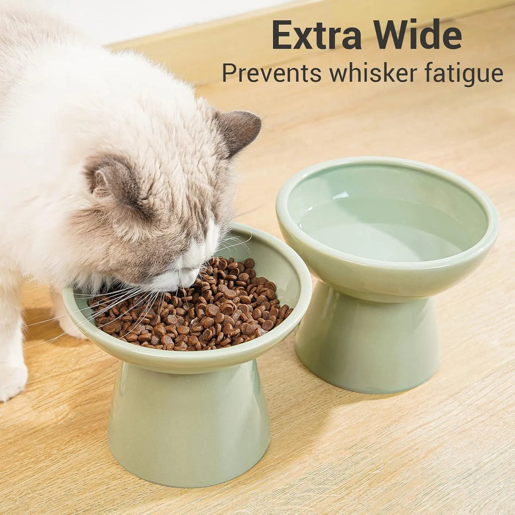 Elevated ceramic cat bowl in blue with wide shallow dish on weighted base