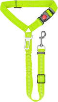 Nylon dog leash with a metal buckle in Army Green colour