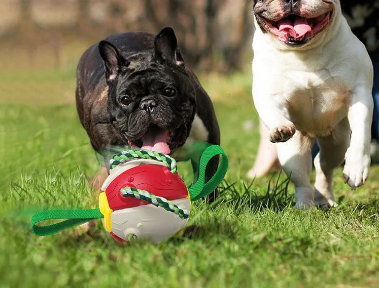 Interactive dog football soccer ball with tabs in blue, showing sphere form with cotton rope and nylon tug rope, on grass