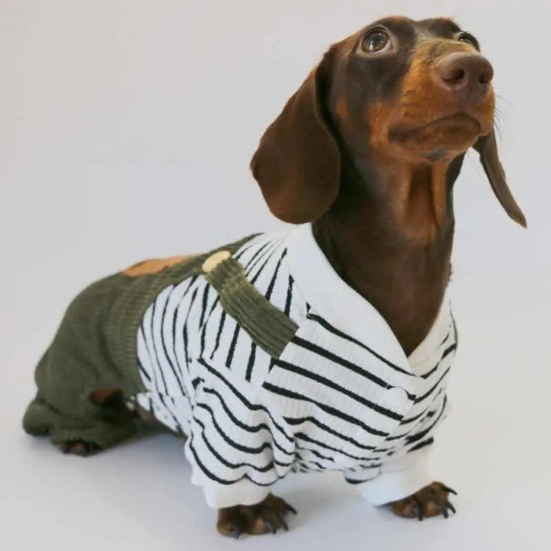 Green black and white striped four-legged pet pants for small dogs, polyester, sizes XS to XL