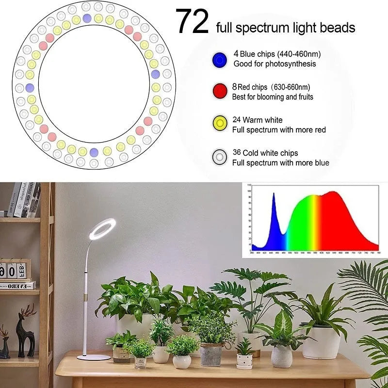 A floor-standing 6-inch angel ring LED grow light with a tall, thin retractable stand.