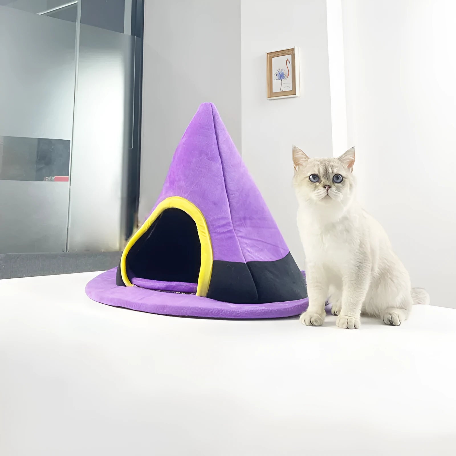 Purple cloth witch hat-shaped cat nest bed for pets, showing its wide brim and cosy interior.
